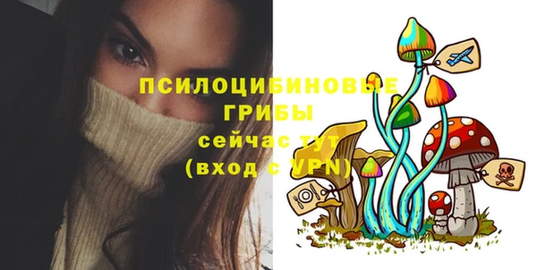 ГАЛЛЮЦИНОГЕННЫЕ ГРИБЫ Нефтегорск