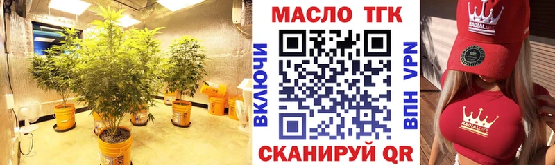 где продают наркотики  Сергач  ТГК концентрат 